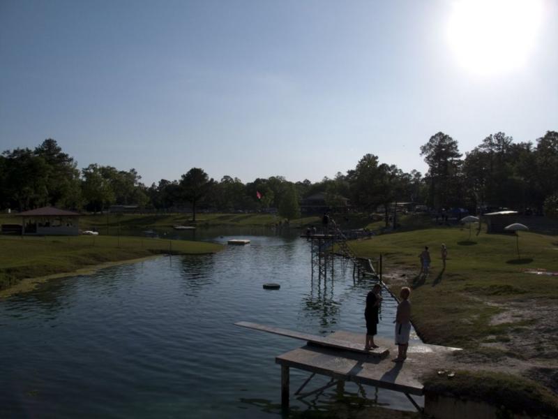 Vortex Springs - The spring and river