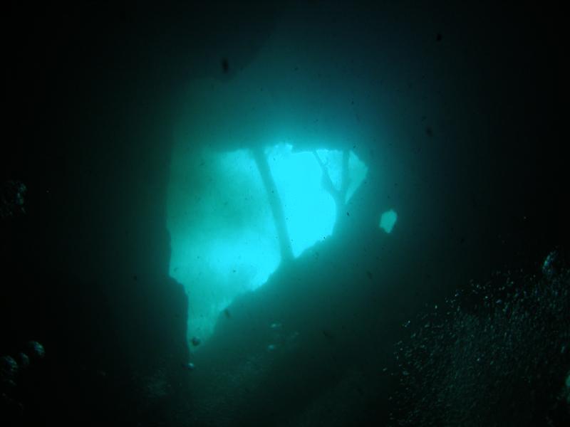 Buford Springs/Sink - From 80’ deep in Buford