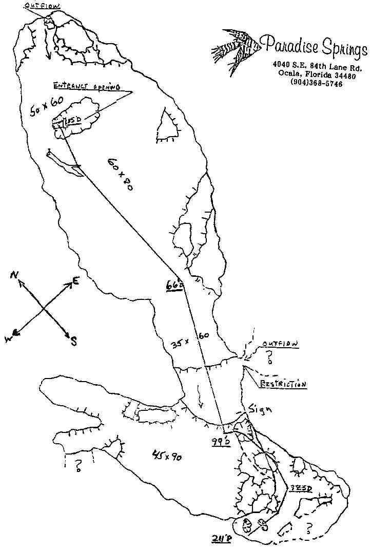 Paradise Springs - Spring - Paradise Springs Underwater Map - Overview