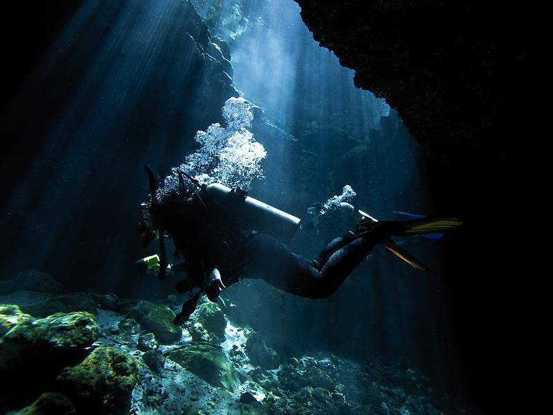 Paradise Springs - Spring - Underwater Photo - Paradise Springs, FL