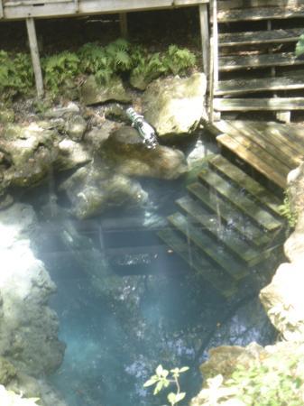 Paradise Springs - Spring - Entrance to Paradise Springs, FL