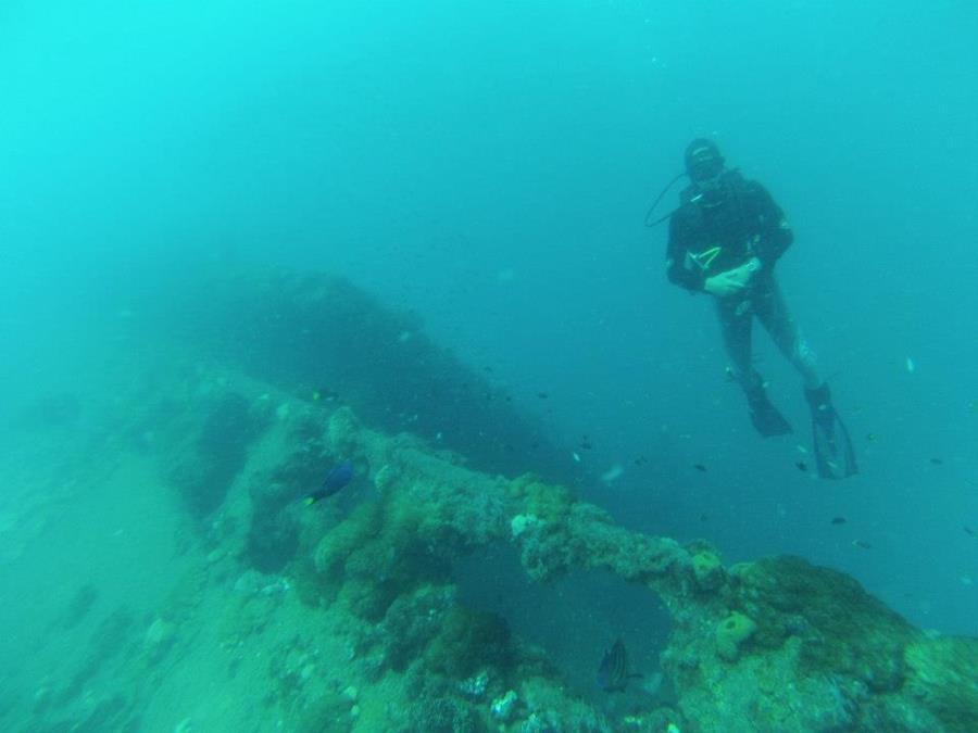 SS Yongala - Ship Wreck