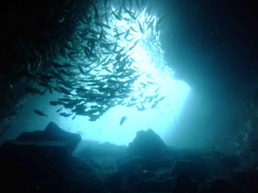 Fish Rock Cave - Cave opening