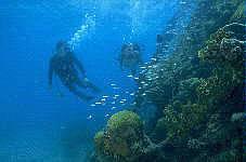 Dry Tortugas National Park - Dry Tortuga diving