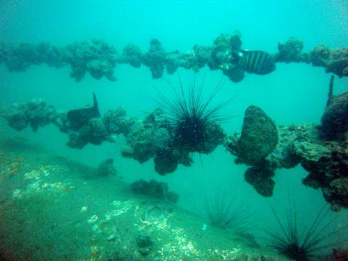 Sugar Wreck - Pulau Perhentian, Terengganu, Malaysia