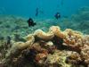 Kadena Steps - great coral reef