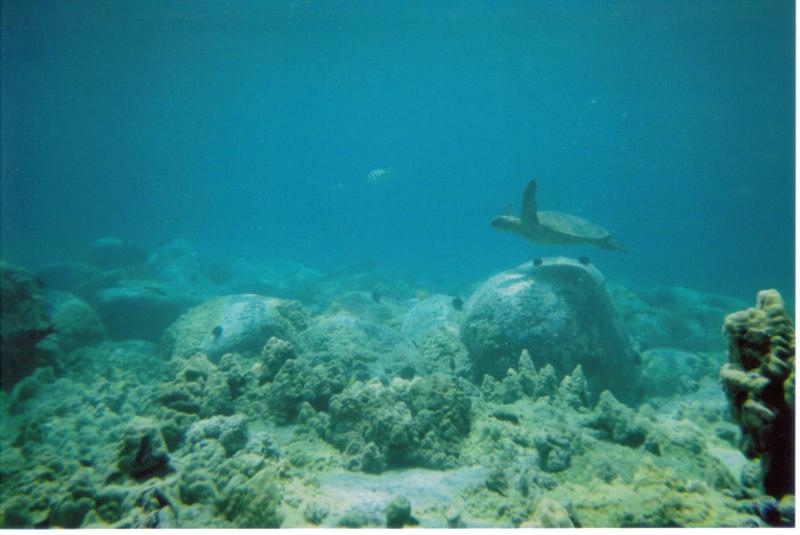 manta ray bay/ honokohau harbor - manta ray bay