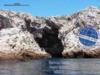 Islas Marietas - Puerto Vallarta MARIETAS ISLANDS