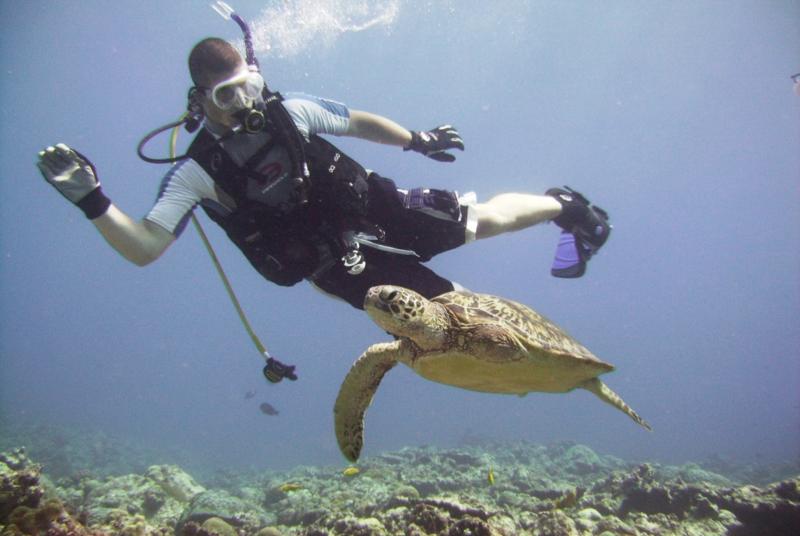 North Tokashiki-jima - Diver & turtle