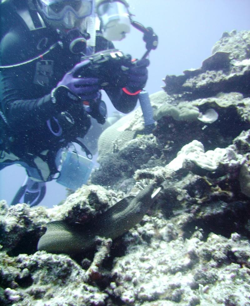 North Tokashiki-jima - Photographer & spotted moray eel