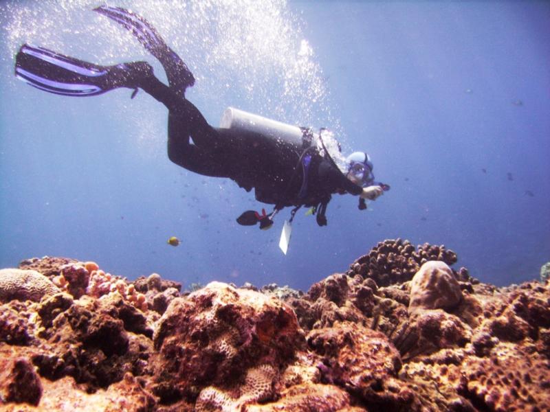 Kuroshima Minami - Diver & reef off Kuroshima Minami