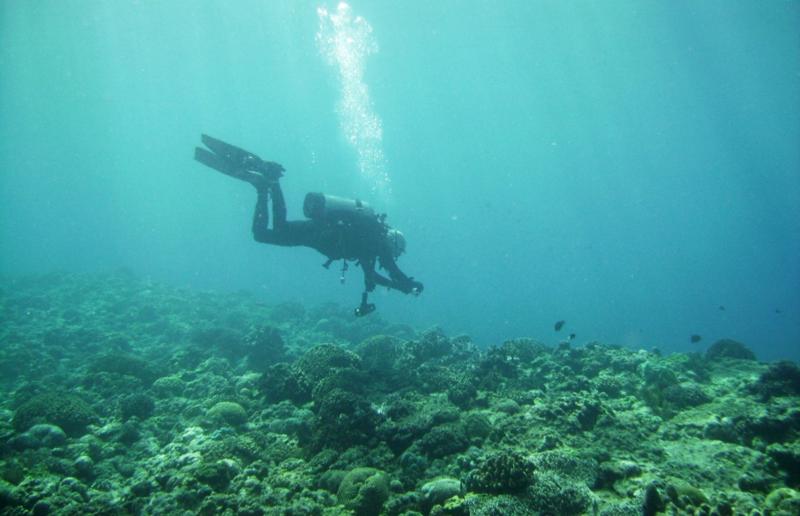 NE Tokashiki - Diver photographing the reef