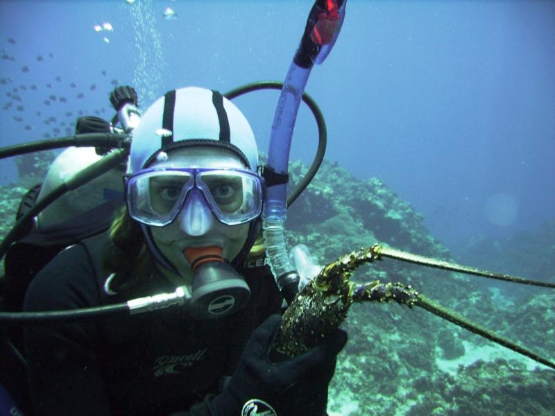 NE Tokashiki - Diver & lobster head (found sitting on reef, probably a nice meal for some lucky predator)