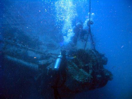 Wreck of the Cayman Salvager - Tiny Bubbles...