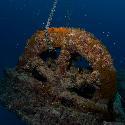 Wreck of the Cayman Salvager - Winch on the Bowl