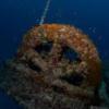 Wreck of the Cayman Salvager - Winch on the Bowl