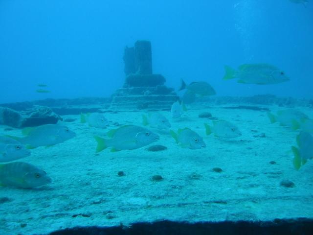 Wreck of Joe’s Tug aka Joe’s Tug - Deck