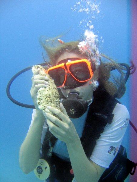 Sandals Ocho Rios - Me and a Sea Slug - Wall