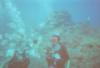 Sandals Ocho Rios - diving in jamaica