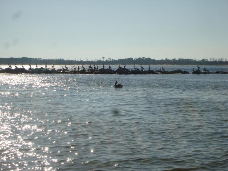 St. Andrews State Park Jetties - Kiddie Pool - Jetty’s3