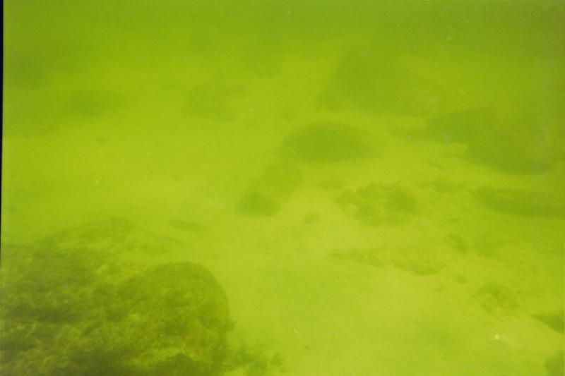 St. Andrews State Park Jetties - Kiddie Pool - Underwater3