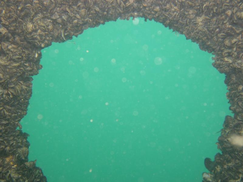 Material Service Barge - porthole