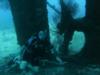 Jane C Wreck, Aruba - Aruba