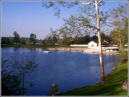 Natural Springs - Natural Spring