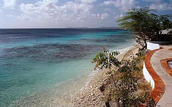 Cliff - Shore diving entry at the Cliff in Bonaire