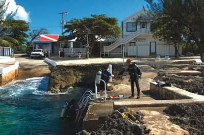 Casuarina Point / Don Foster’s Dive - Don Foster’s Dive, Casuarina Point