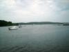 Bull Shoals - bull shoals