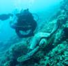 Tubbataha Reefs National Park