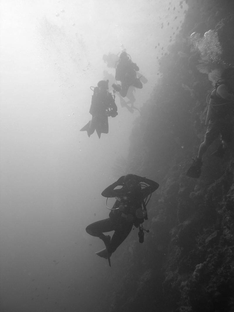 Tubbataha Reefs National Park - divers going down