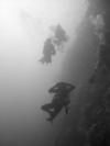 Tubbataha Reefs National Park - divers going down