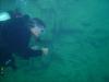Underwater at Blue Springs Resort - PSC - Greg