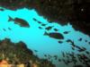 Elder Point Reef - Elder Reef Cave - Rottnest Island