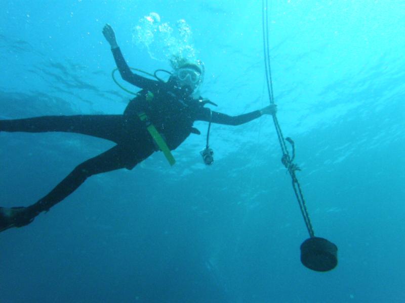 Swirl Reef - Safety Line