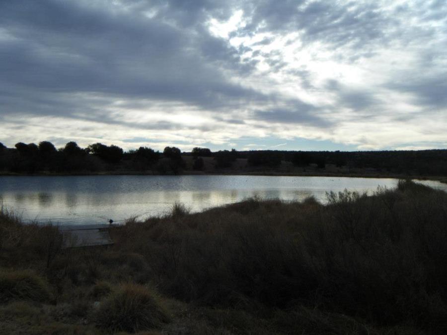 Perch Lake - Perch Lake