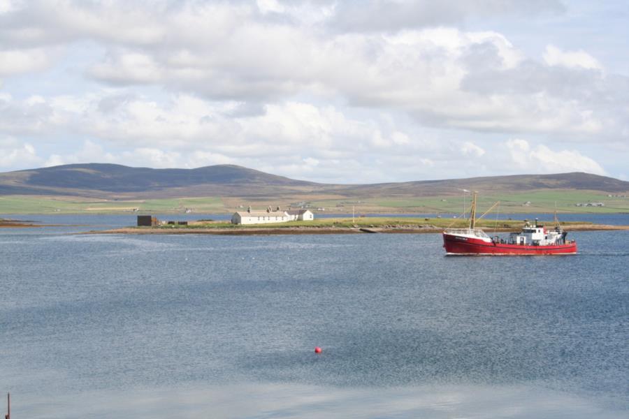 Scapa Flow - Scapa Flow 2008