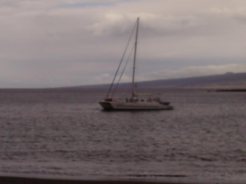 49 black sands - catamaran