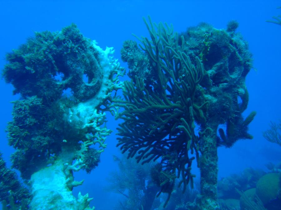 The Wreck of the North Carolina - Dead Eyes@ North Carolina