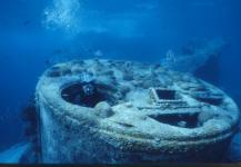 The Pelinaion Wreck - The Pelinaion Wreck