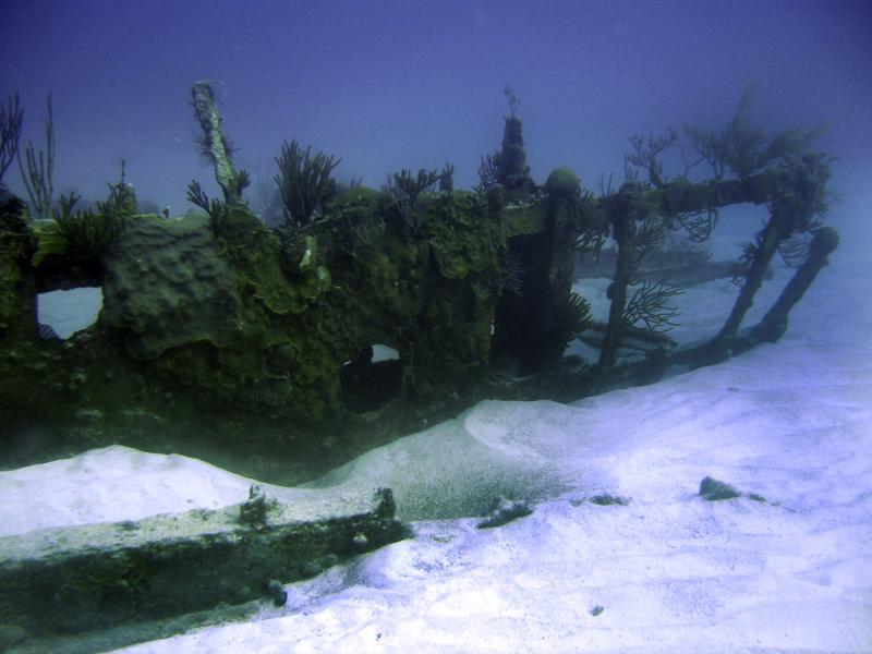 The Wreck of The Marie Celeste - Bow