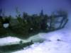 The Wreck of The Marie Celeste - Bermuda