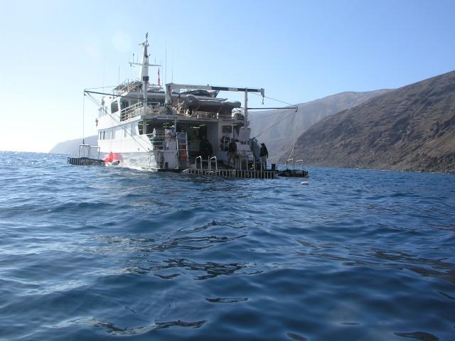 Guadalupe Island - Nautilus Explorer at Guadalupe