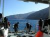 Guadalupe Island - Dive deck