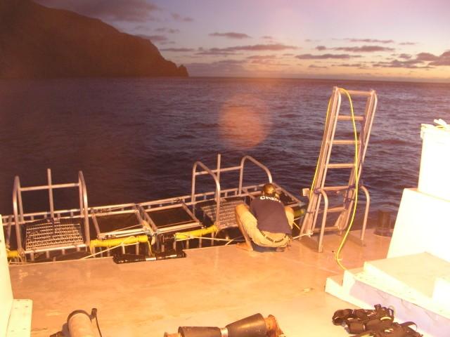 Guadalupe Island - Two cages on the stern and two smaller cages hang off the sides