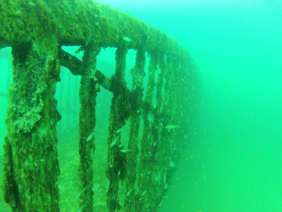 Better Diver Quarry - bridge