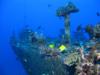 Mahi, formerly the USS Scrimmage AM297 - Mahi wreck. Oahu, HI