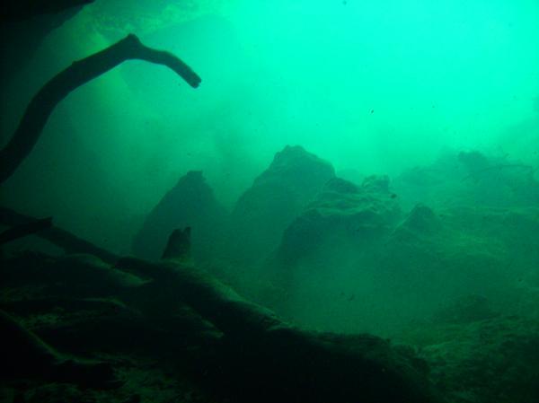 Manatee Springs - View from the bottom - Catfish Sink